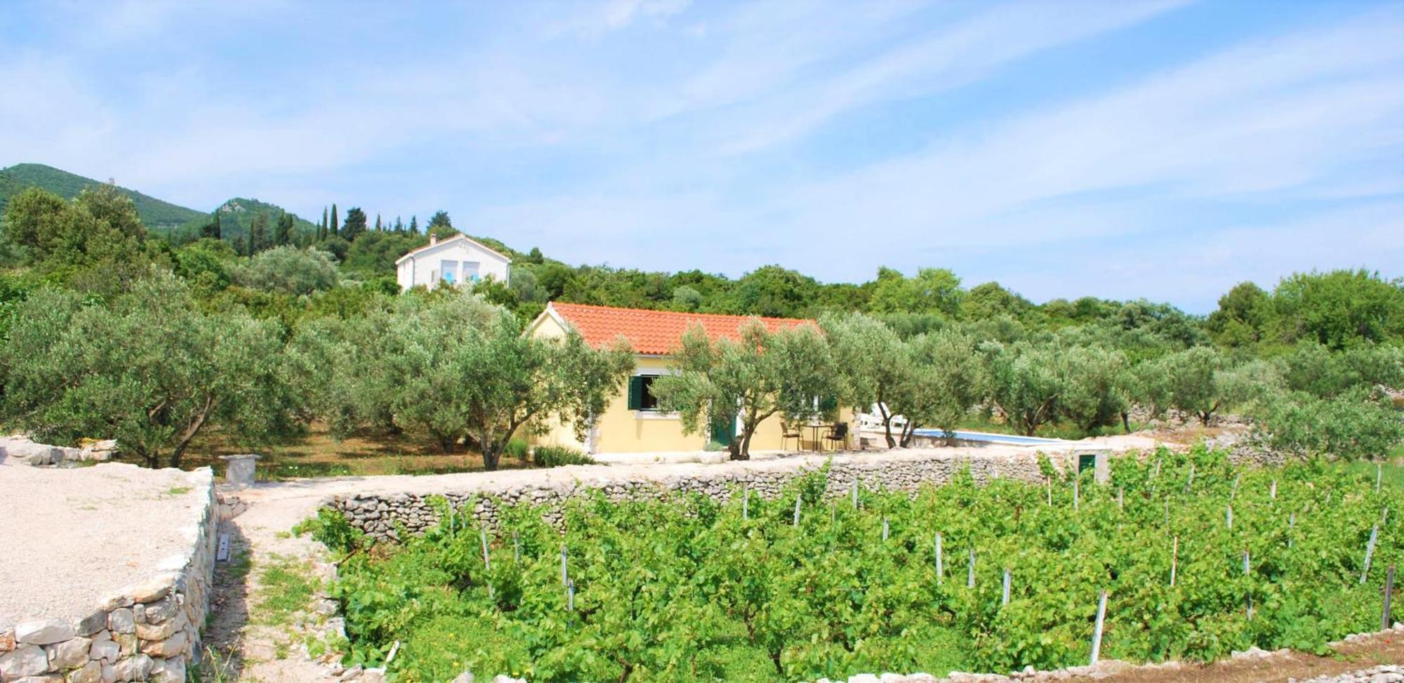 Villa Vineyard House & Olive Grove House Račišće Exterior foto